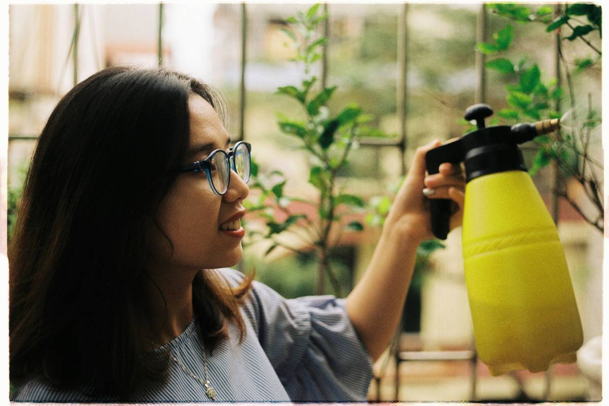 Gardening Supply Fungicide How To Make: 5 Proven Ways to Avoid Costly Plant Loss